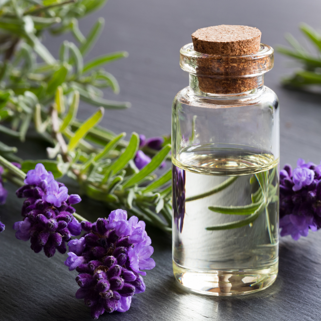Lavender flowers around a vial of lavender oil with a cork top